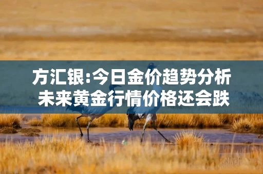 方汇银:今日金价趋势分析 未来黄金行情价格还会跌吗