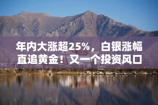 年内大涨超25%，白银涨幅直追黄金！又一个投资风口？