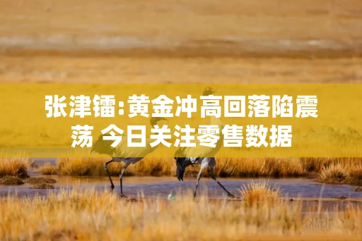张津镭:黄金冲高回落陷震荡 今日关注零售数据