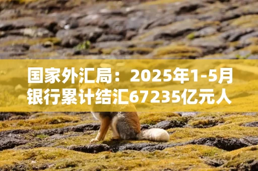 国家外汇局：2025年1-5月银行累计结汇67235亿元人民币，累计售汇70867亿元人民币
