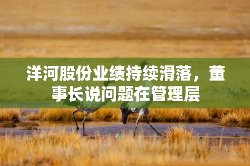 洋河股份业绩持续滑落，董事长说问题在管理层