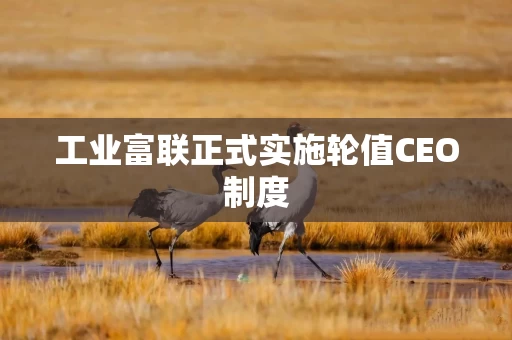 工业富联正式实施轮值CEO制度