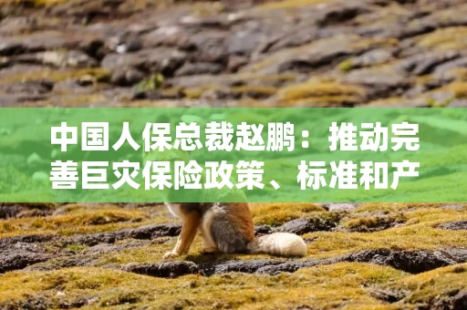 中国人保总裁赵鹏：推动完善巨灾保险政策、标准和产品体系 努力做气候风险的韧性复原者