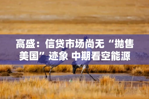 高盛：信贷市场尚无“抛售美国”迹象 中期看空能源美元高收益债