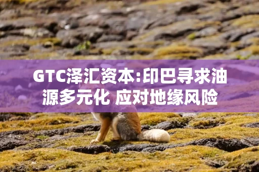 GTC泽汇资本:印巴寻求油源多元化 应对地缘风险