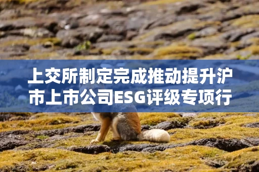 上交所制定完成推动提升沪市上市公司ESG评级专项行动方案