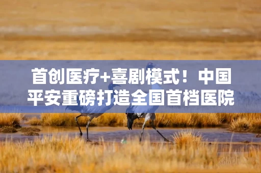 首创医疗+喜剧模式！中国平安重磅打造全国首档医院录制健康科普脱口秀《健康不摸黑》，破圈健康科普新范式