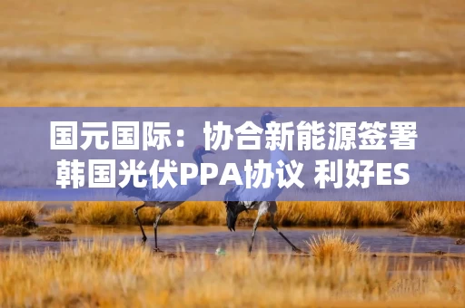 国元国际：协合新能源签署韩国光伏PPA协议 利好ESG估值溢价