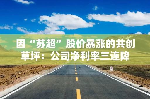 因“苏超”股价暴涨的共创草坪：公司净利率三连降