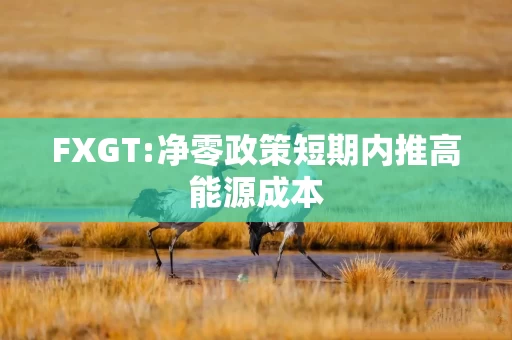 FXGT:净零政策短期内推高能源成本