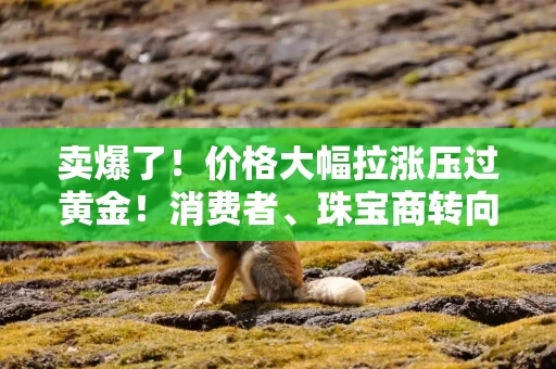 卖爆了！价格大幅拉涨压过黄金！消费者、珠宝商转向→