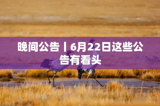 晚间公告丨6月22日这些公告有看头