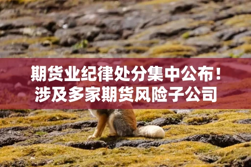 期货业纪律处分集中公布！涉及多家期货风险子公司
