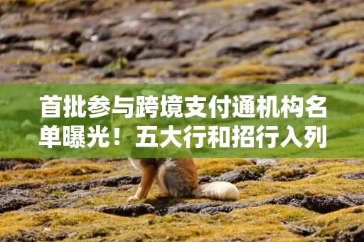 首批参与跨境支付通机构名单曝光！五大行和招行入列