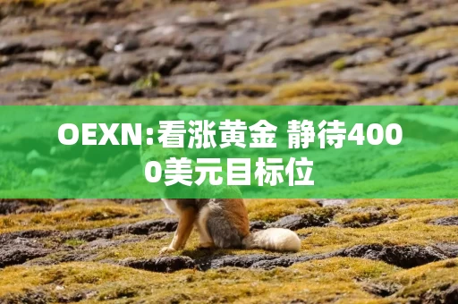 OEXN:看涨黄金 静待4000美元目标位