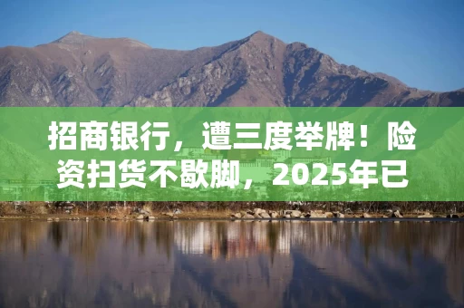 招商银行，遭三度举牌！险资扫货不歇脚，2025年已有13家上市公司被险资举牌