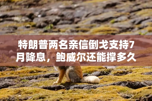 特朗普两名亲信倒戈支持7月降息，鲍威尔还能撑多久？