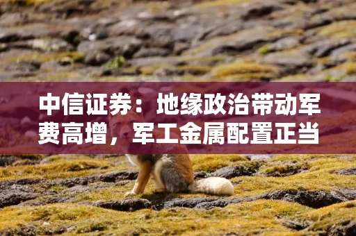 中信证券：地缘政治带动军费高增，军工金属配置正当时