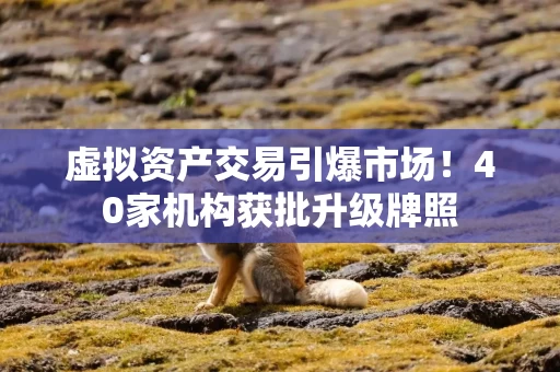 虚拟资产交易引爆市场！40家机构获批升级牌照
