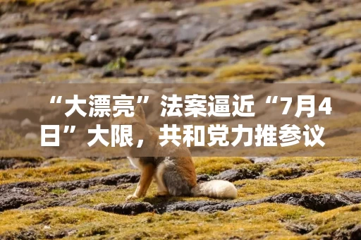 “大漂亮”法案逼近“7月4日”大限，共和党力推参议院本周通过