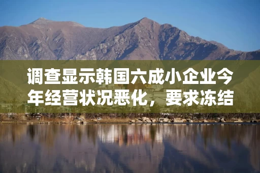 调查显示韩国六成小企业今年经营状况恶化，要求冻结或降低最低工资