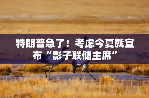 特朗普急了！考虑今夏就宣布“影子联储主席”