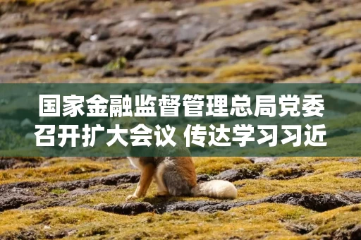 国家金融监督管理总局党委召开扩大会议 传达学习习近平同志在闽金融论述与实践启示
