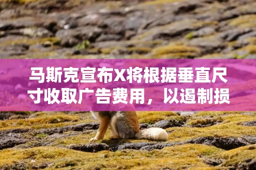马斯克宣布X将根据垂直尺寸收取广告费用，以遏制损害用户体验的巨型广告