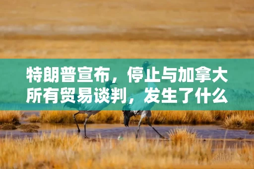 特朗普宣布，停止与加拿大所有贸易谈判，发生了什么？
