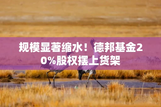 规模显著缩水！德邦基金20%股权摆上货架