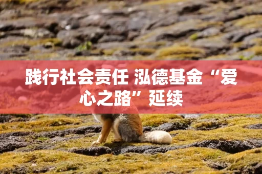 践行社会责任 泓德基金“爱心之路”延续