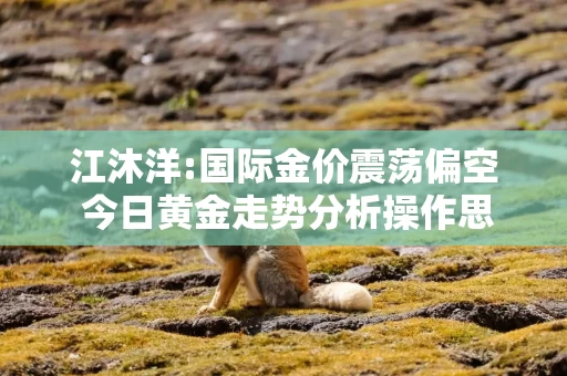 江沐洋:国际金价震荡偏空 今日黄金走势分析操作思路