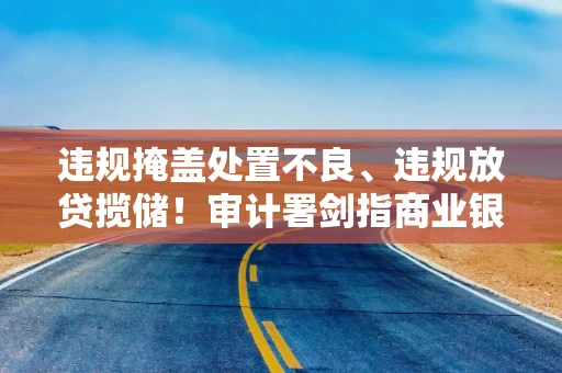违规掩盖处置不良、违规放贷揽储！审计署剑指商业银行乱象