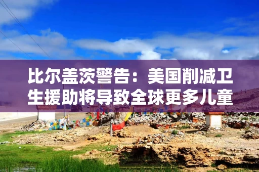 比尔盖茨警告：美国削减卫生援助将导致全球更多儿童死亡