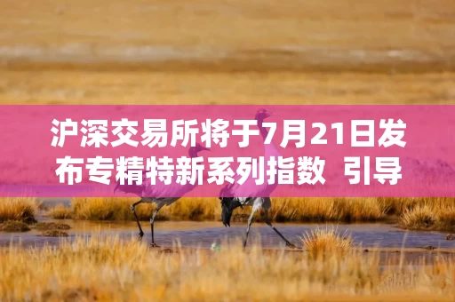 沪深交易所将于7月21日发布专精特新系列指数  引导资金流向创新驱动型中小企业