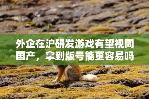 外企在沪研发游戏有望视同国产，拿到版号能更容易吗