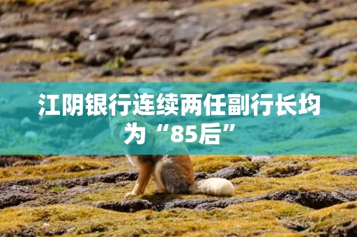 江阴银行连续两任副行长均为“85后”