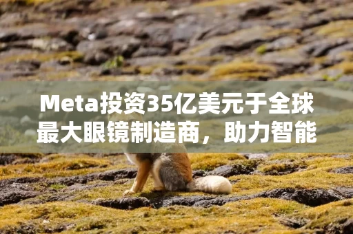 Meta投资35亿美元于全球最大眼镜制造商，助力智能眼镜研发