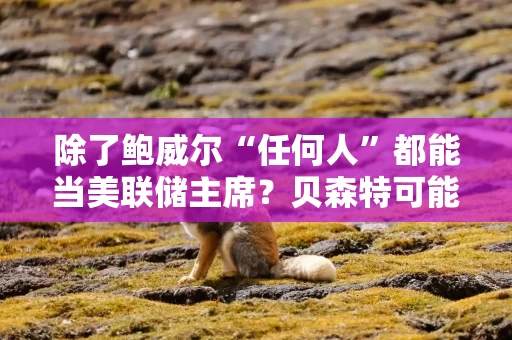 除了鲍威尔“任何人”都能当美联储主席？贝森特可能没戏！