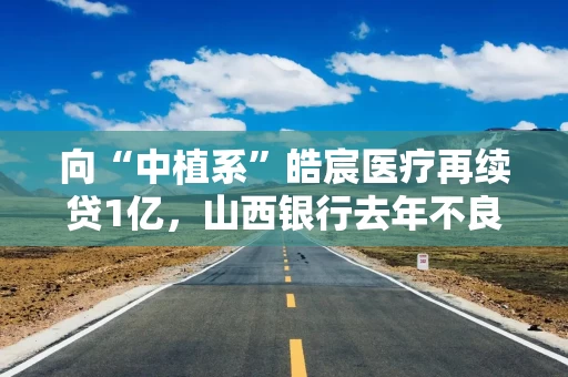 向“中植系”皓宸医疗再续贷1亿，山西银行去年不良率2.5%