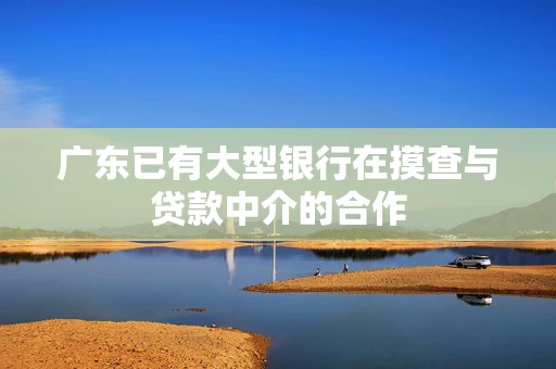 广东已有大型银行在摸查与贷款中介的合作