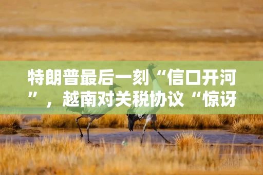 特朗普最后一刻“信口开河”，越南对关税协议“惊讶、失望和愤怒”？