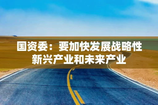 国资委：要加快发展战略性新兴产业和未来产业