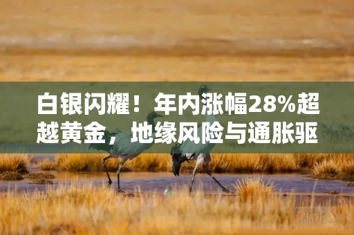 白银闪耀！年内涨幅28%超越黄金，地缘风险与通胀驱动资金加速流入