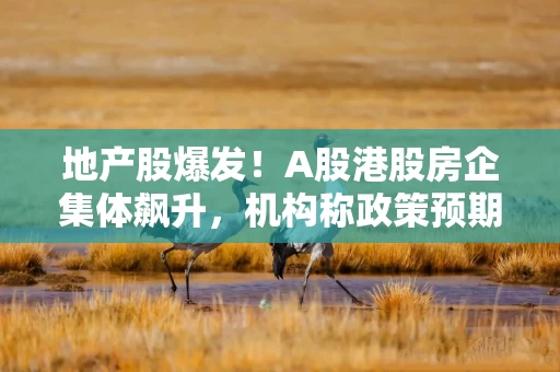 地产股爆发！A股港股房企集体飙升，机构称政策预期升温