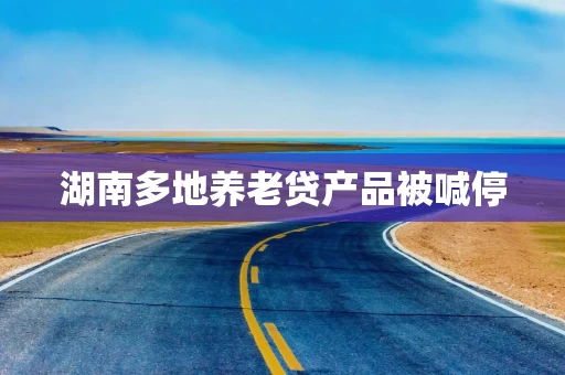 湖南多地养老贷产品被喊停