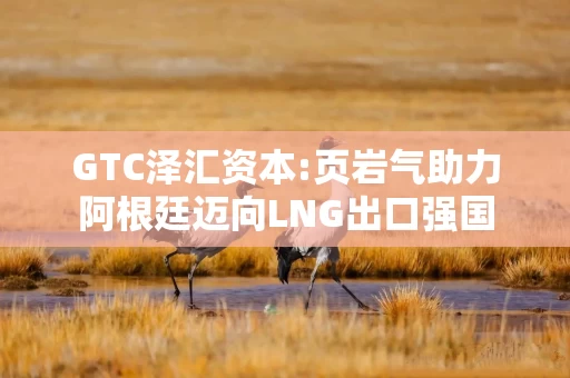 GTC泽汇资本:页岩气助力阿根廷迈向LNG出口强国