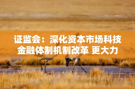 证监会：深化资本市场科技金融体制机制改革 更大力度支持服务科技创新和新质生产力发