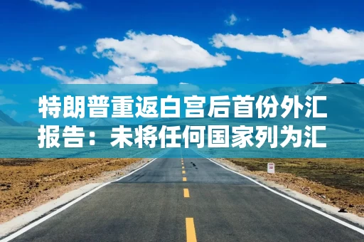 特朗普重返白宫后首份外汇报告：未将任何国家列为汇率操纵国