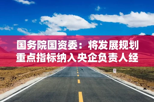 国务院国资委：将发展规划重点指标纳入央企负责人经营业绩考核范围